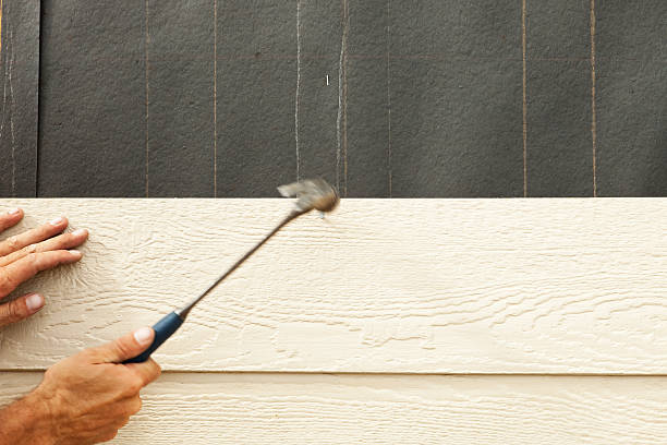 Best Vinyl Siding Installation  in Chesterton, IN